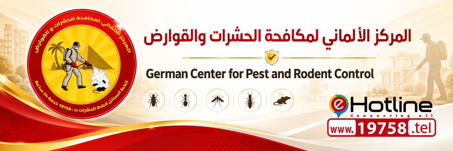 German Center eHotline header